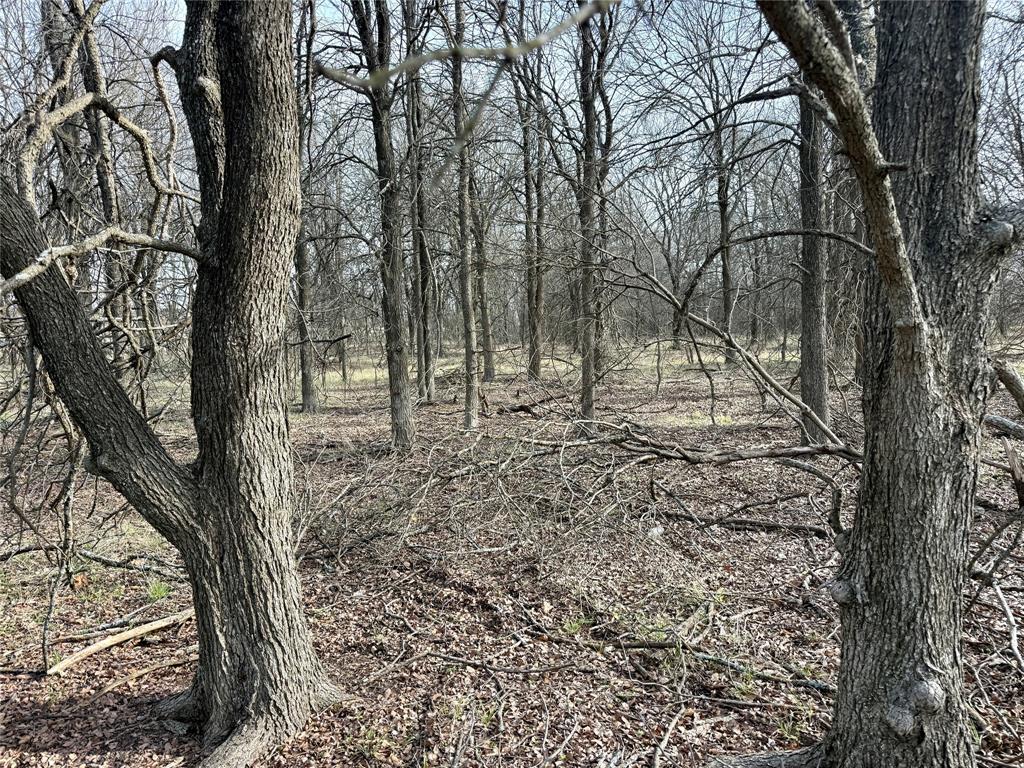 F White A-1010 - Land