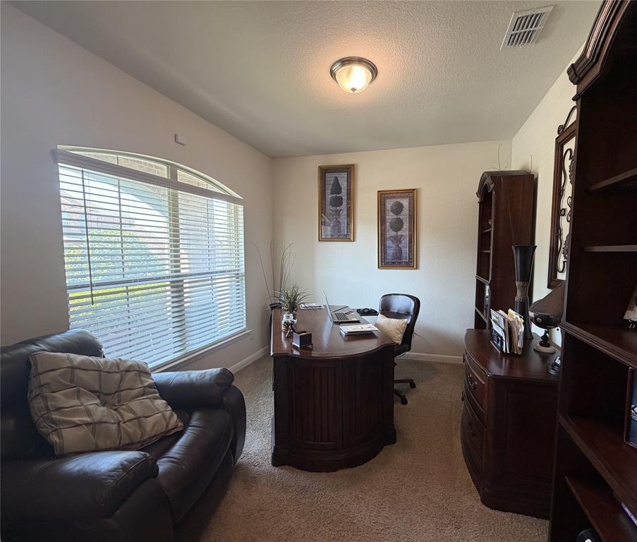 925 Meadow Scape Drive
