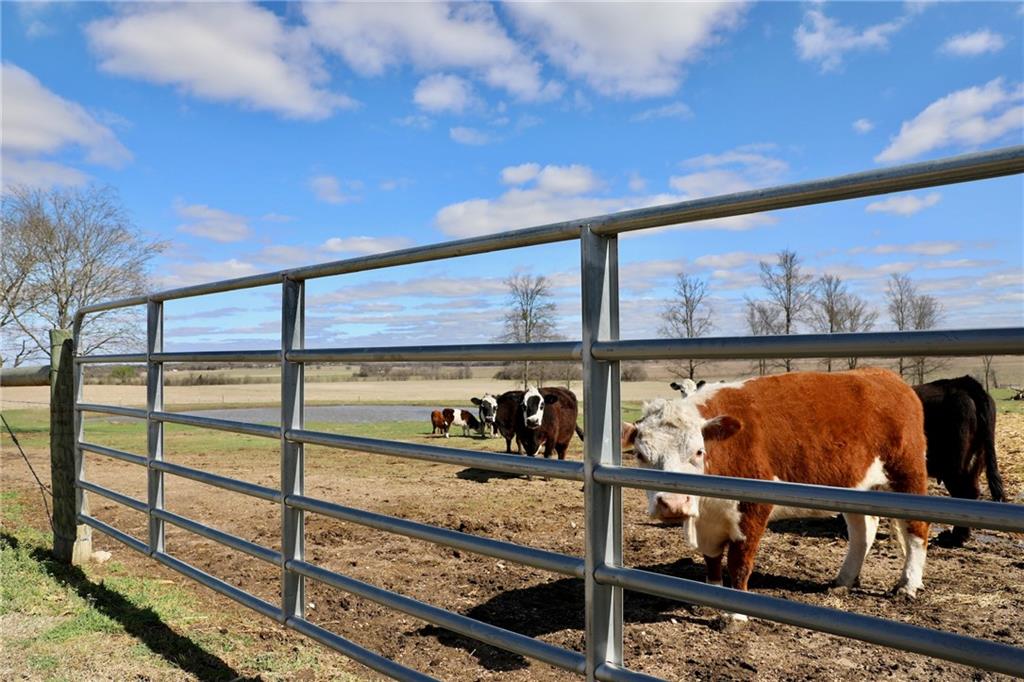 POWELL STEVE - Residential
