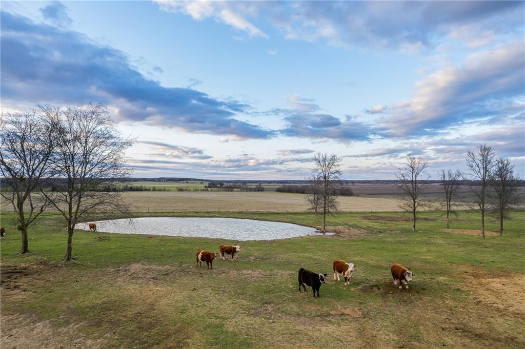 POWELL STEVE - Residential