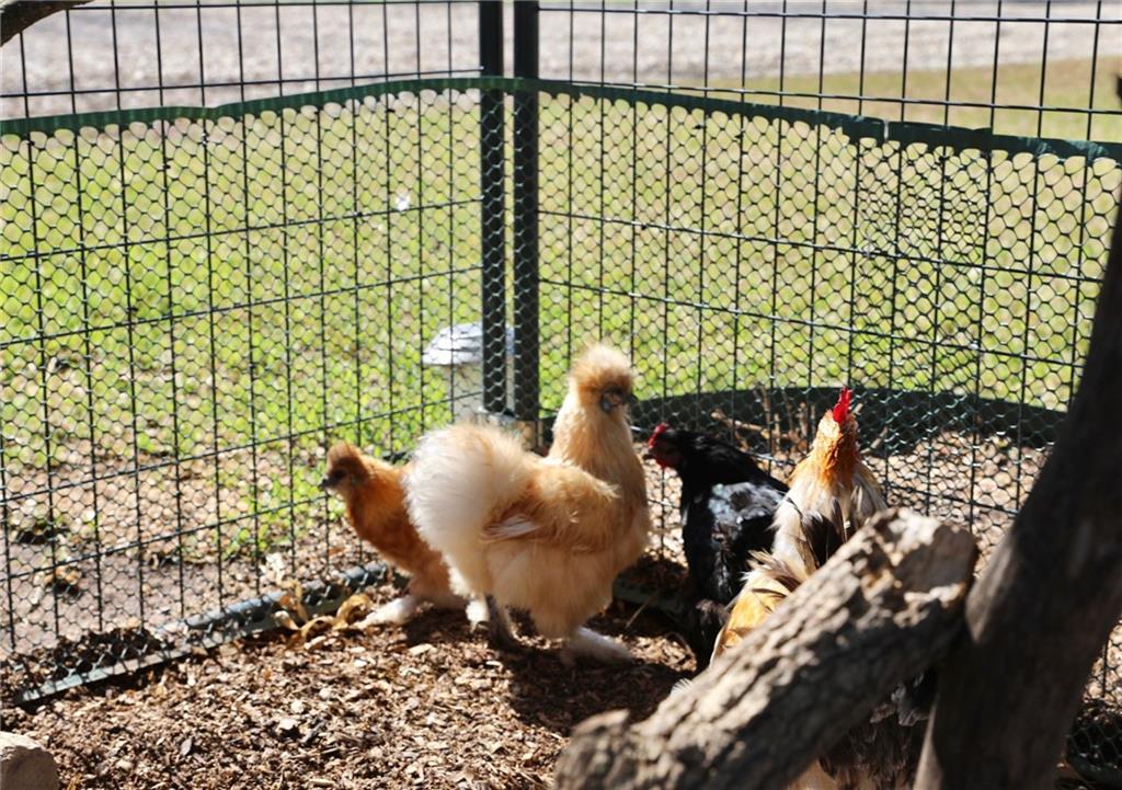 POWELL STEVE - Residential