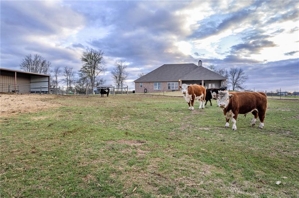 POWELL STEVE - Residential