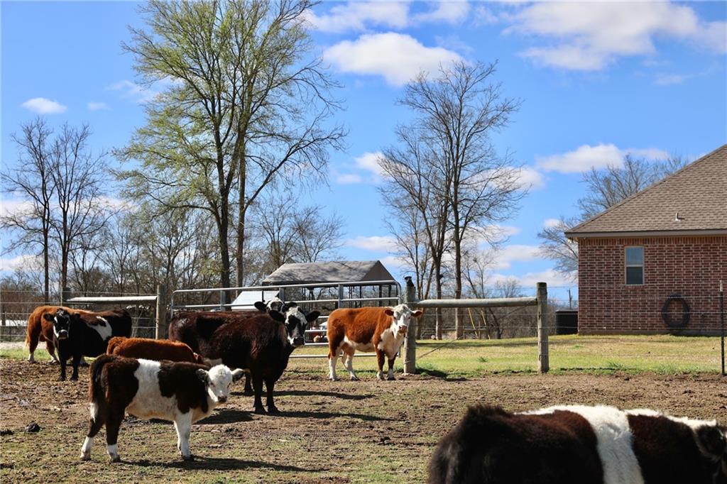 POWELL STEVE - Residential