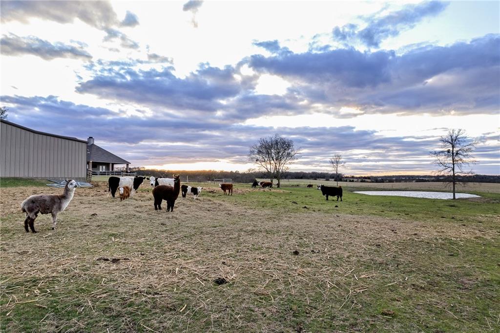 POWELL STEVE - Residential