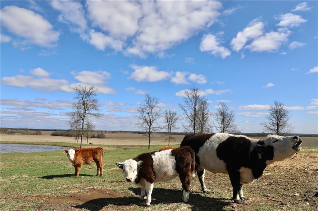 POWELL STEVE - Residential