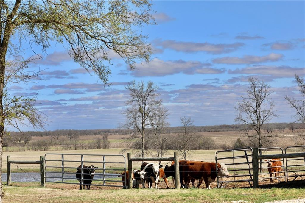 POWELL STEVE - Residential