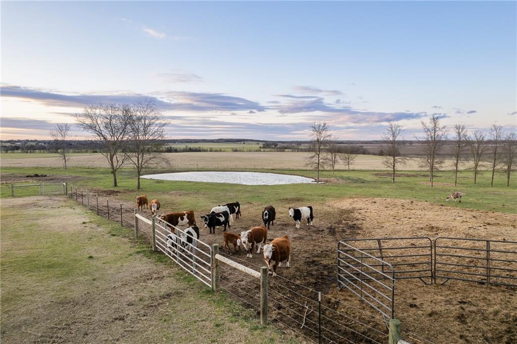 POWELL STEVE - Residential