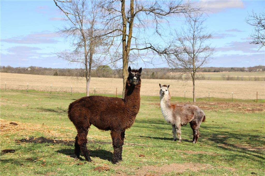 POWELL STEVE - Residential