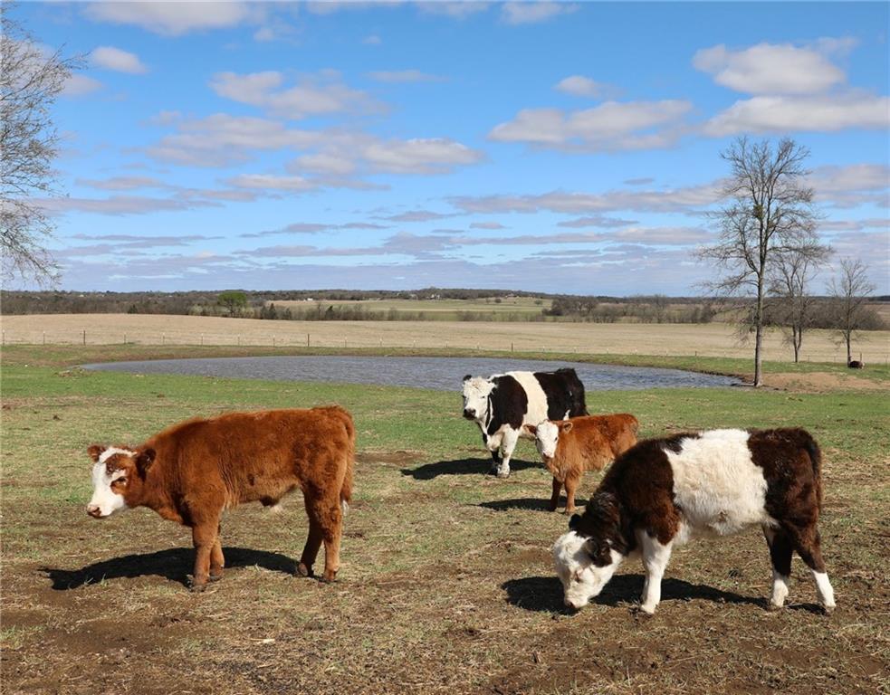 POWELL STEVE - Residential