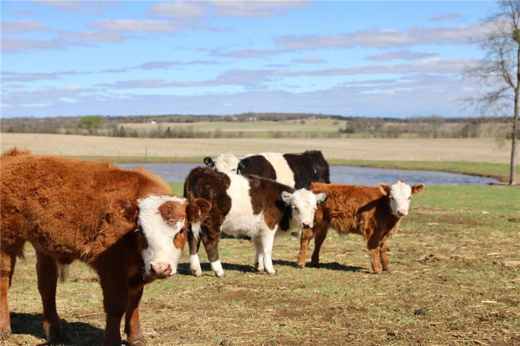 POWELL STEVE - Residential