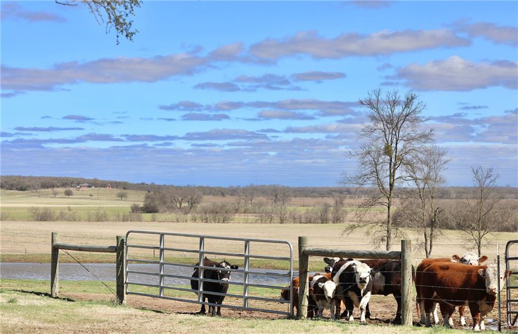 POWELL STEVE - Residential