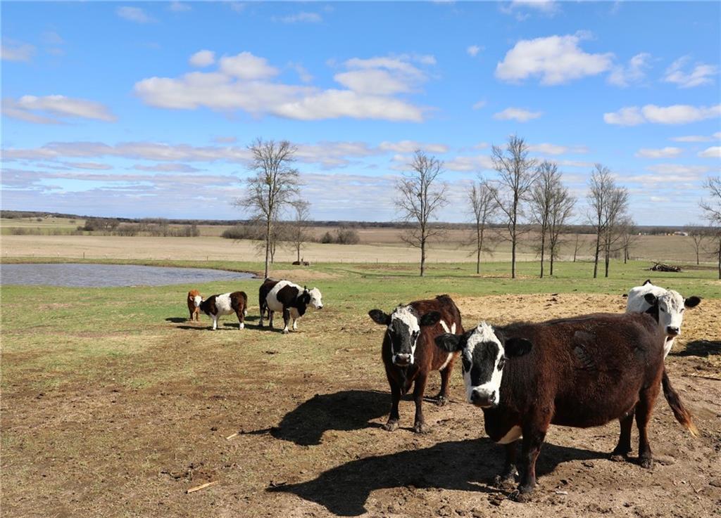 POWELL STEVE - Residential