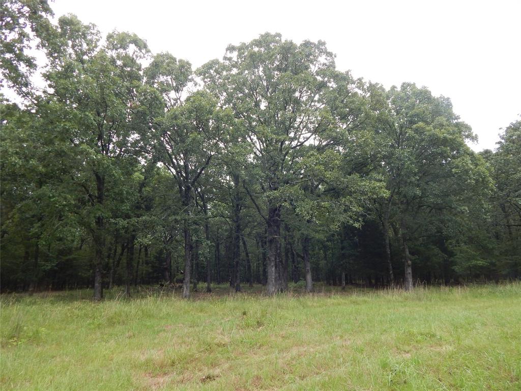 Lakeside Estates - Land