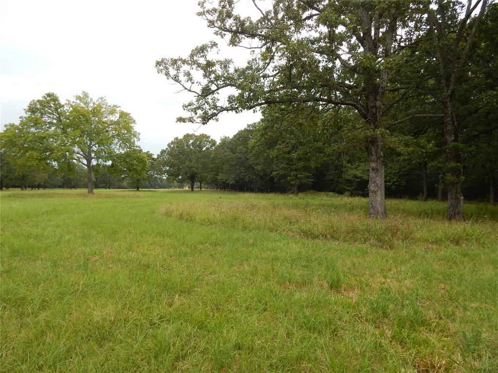 Lakeside Estates - Land