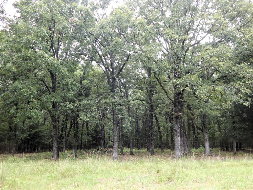 Lakeside Estates - Land