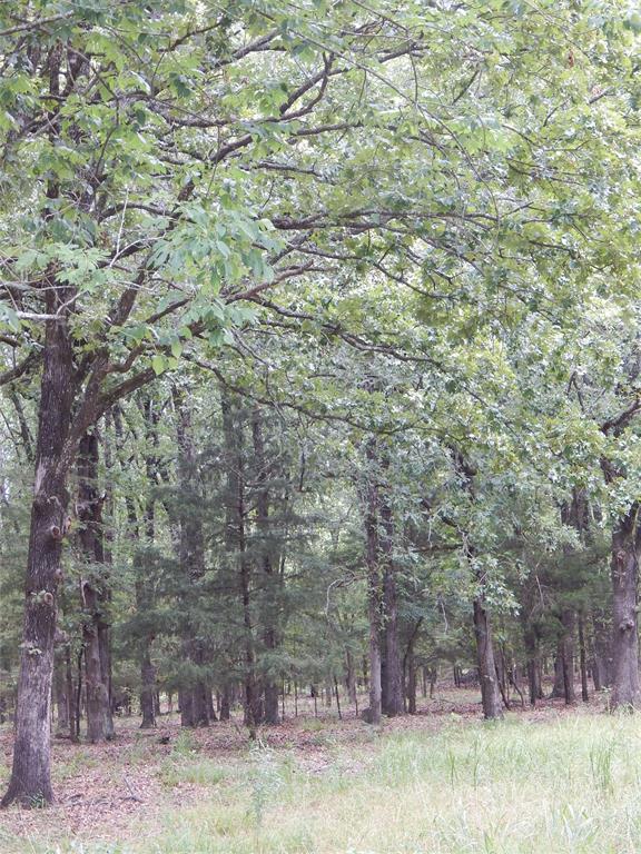 Lakeside Estates - Land