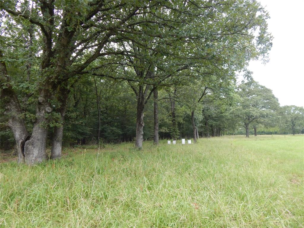 Lakeside Estates - Land