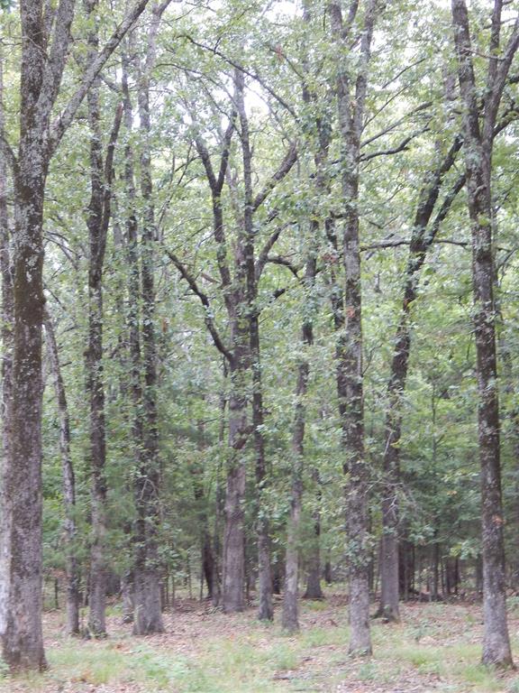 Lakeside Estates - Land