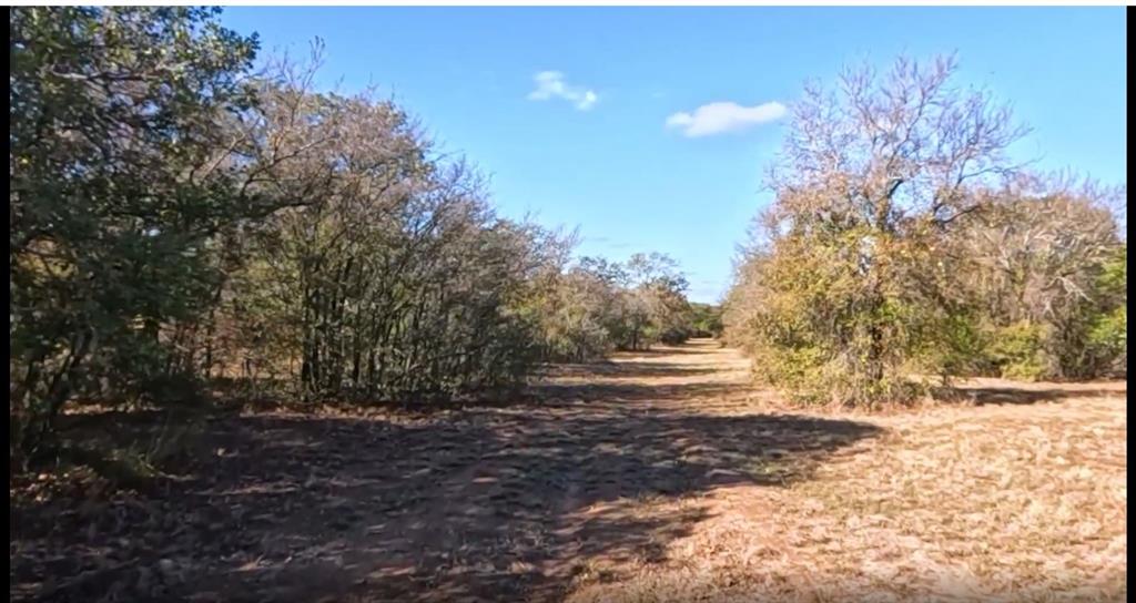 DAVIDSON J H - Residential