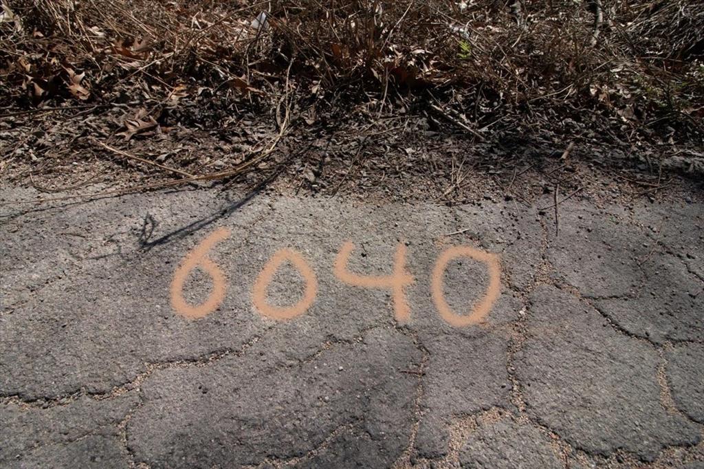 Carver Heights - Land