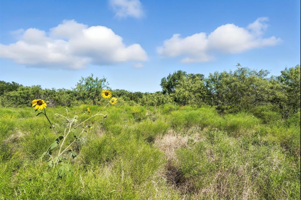 Cresson Ranch - Land