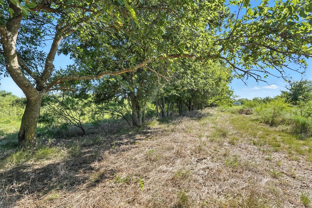 Cresson Ranch - Land