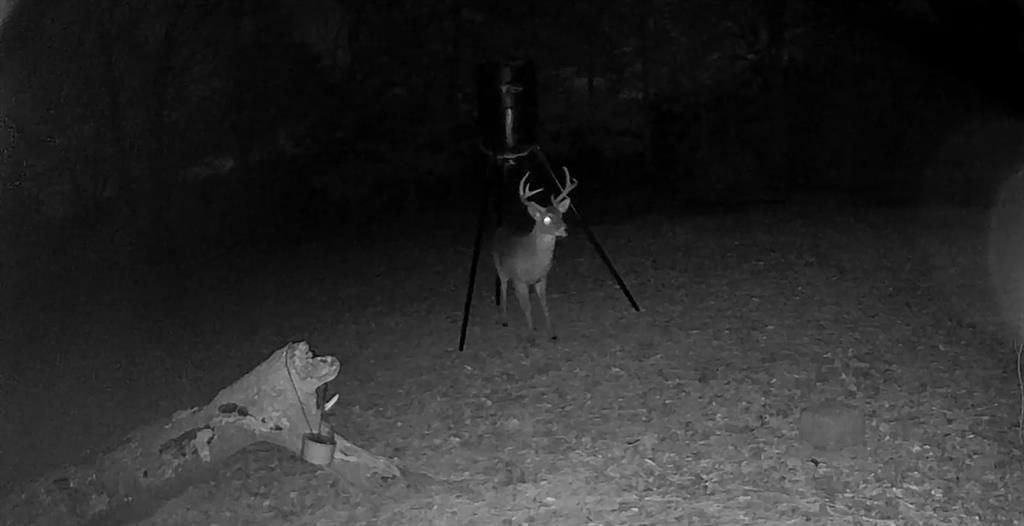 City Of Paris - Residential