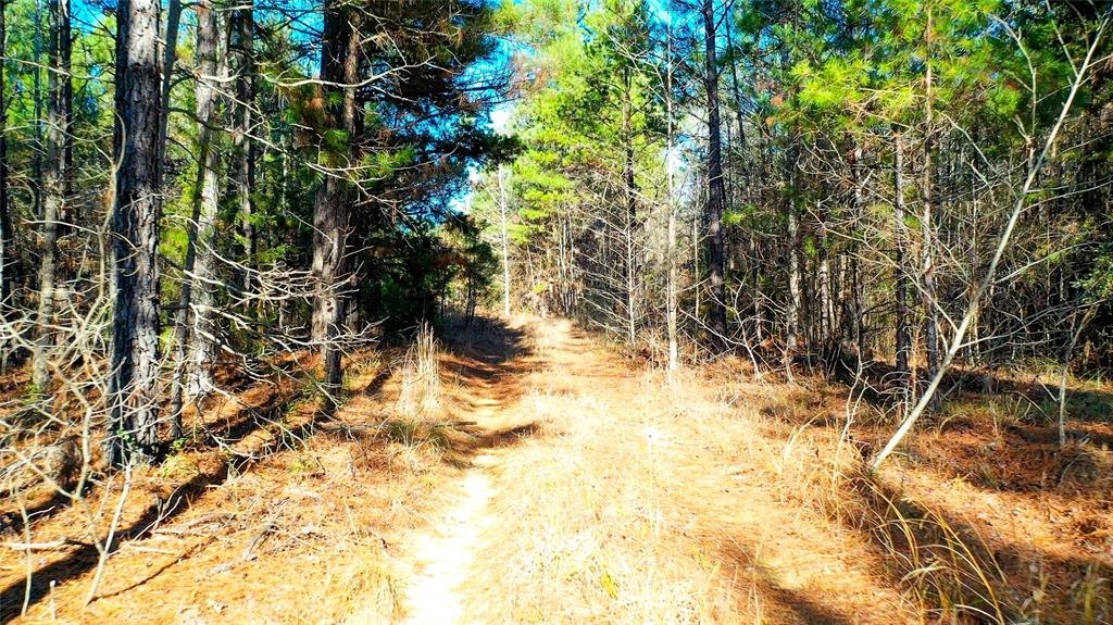 TBD Hwy 49