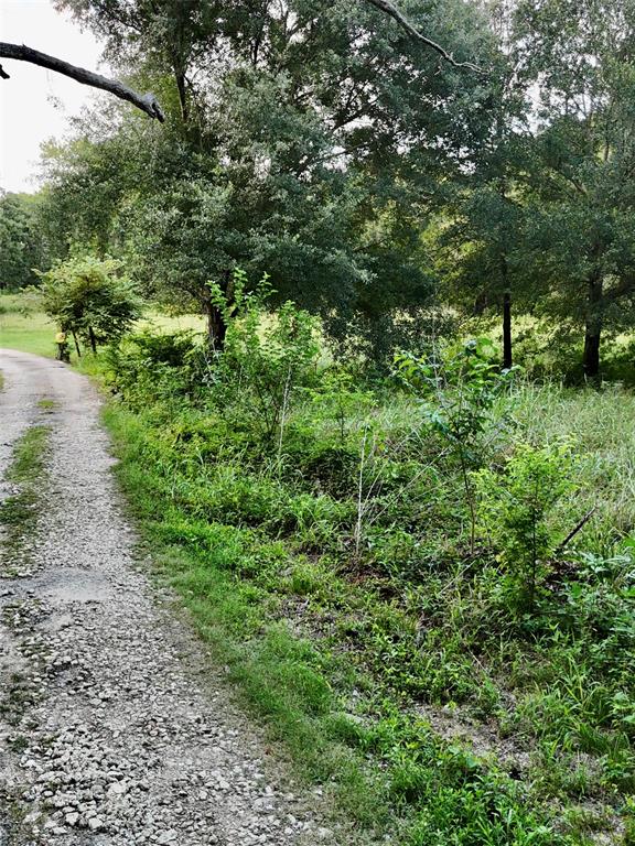 TBD State Highway 31 E