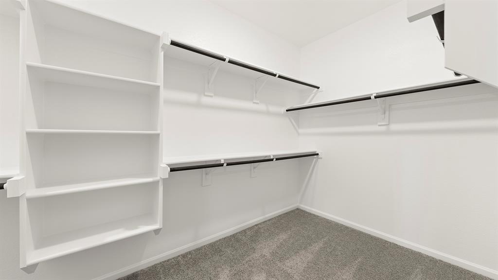 Palmilla Springs - Residential