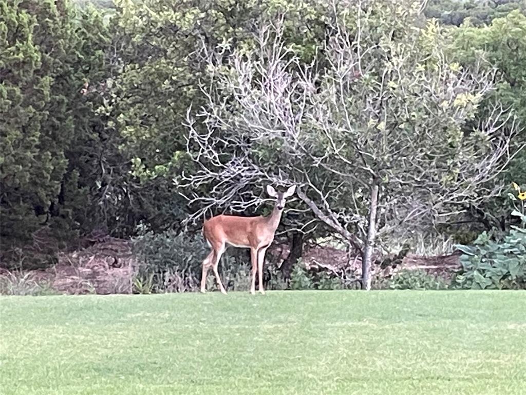 Elm Valley - Residential