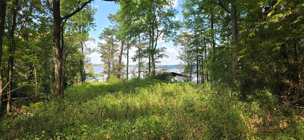 Ward, Louisiana 71068, United States, 1 Bedroom Bedrooms, ,1 BathroomBathrooms,Residential,Active,42293