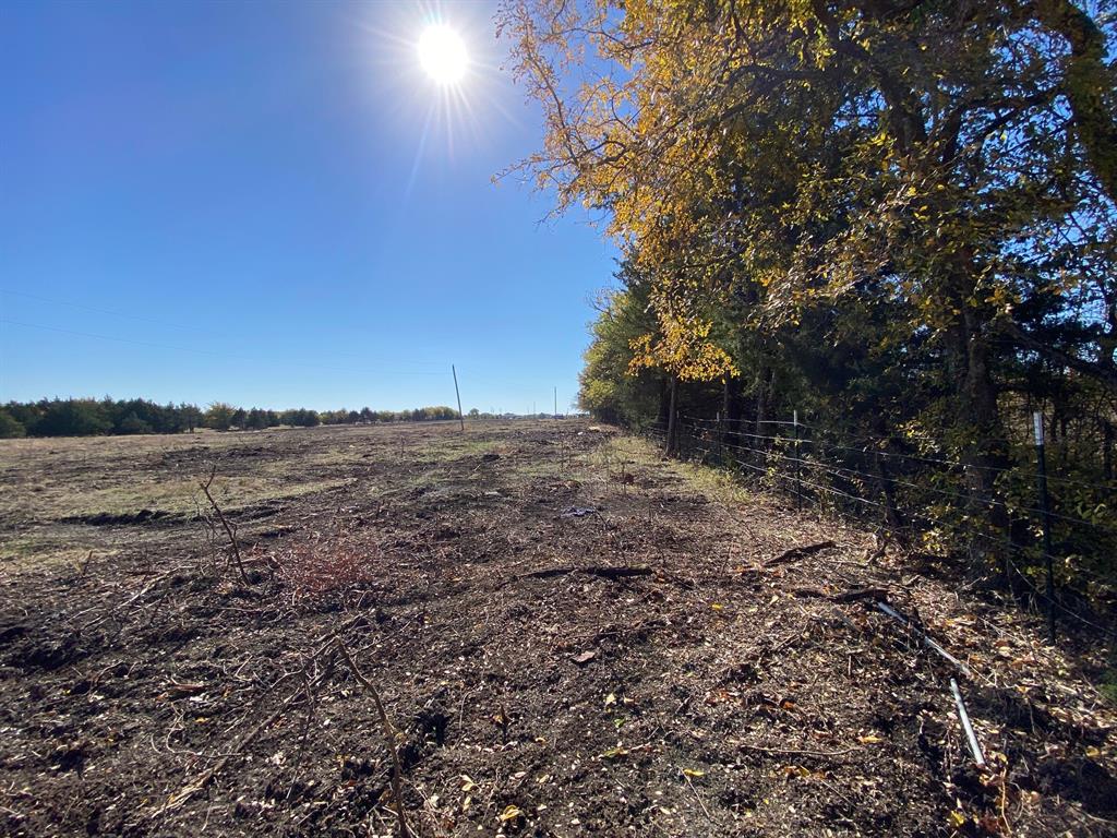 J Emery Surv Abs #1432 - Land