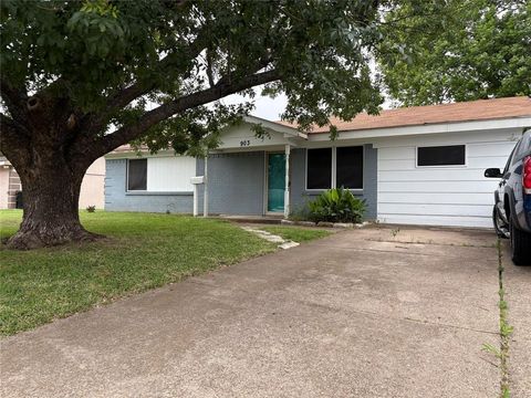 Photo of 903 Caladium Drive, Mesquite, TX 75149 (MLS # 21256151)