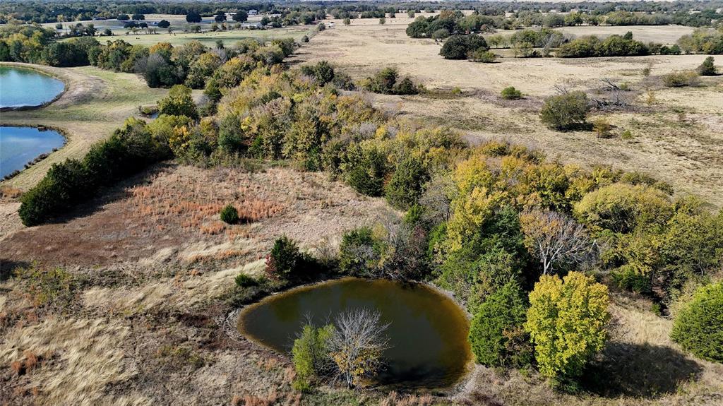 ABST: 89 SUR: E BRUTON - Land