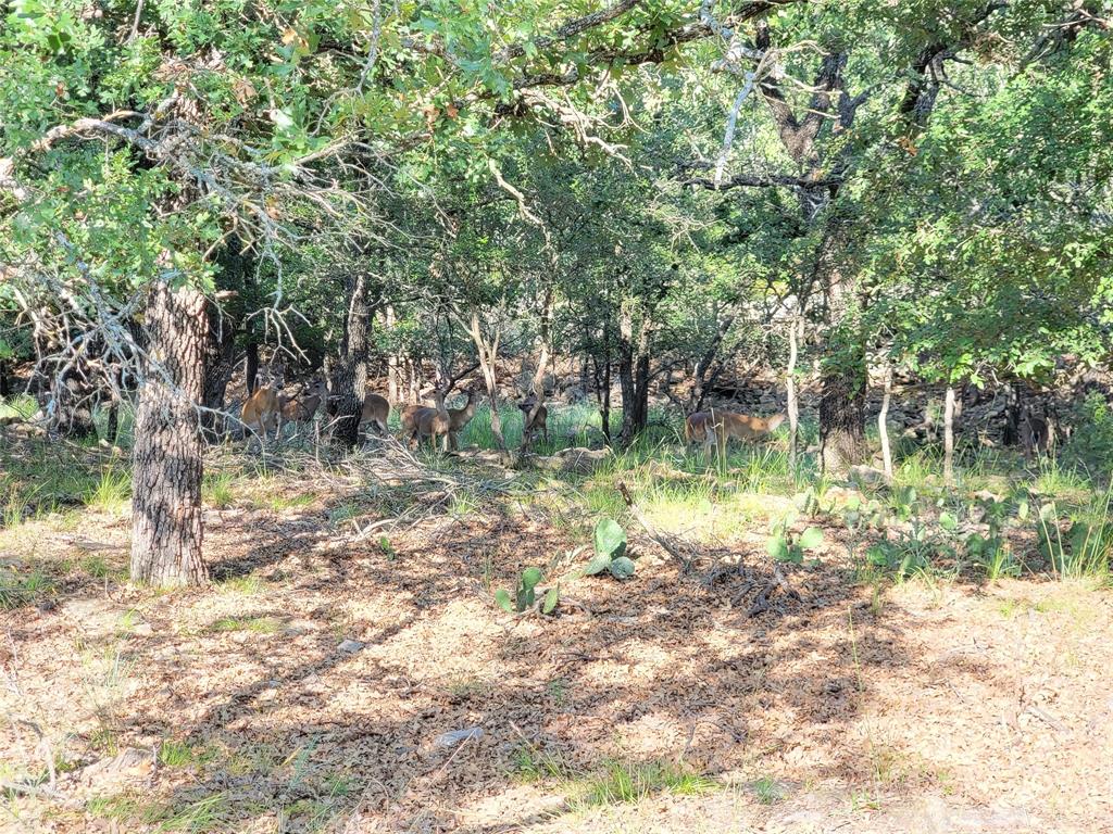 Thunderbird Bay Sec II - Land