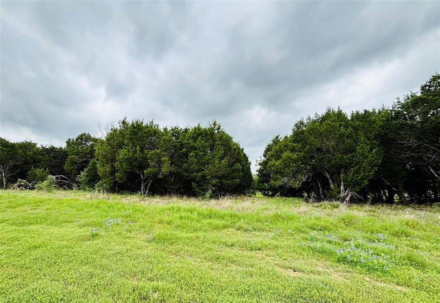 Build your dream home in The Retreat, a premier gated, resort-style golf community just 30 minutes south of Fort Worth. This 0.177-acre interior lot offers a peaceful setting with a mix of open grassy space and light tree coverage—perfect for a custom single-family home or a future investment. The lot is fully prepared for development with streets, utilities, and underground electric available. Co-op water, co-op electric, and aerobic septic are available, and the property sits outside city limits for added flexibility and no city taxes. With no timeline to build, you can enjoy the community amenities immediately while planning your ideal home. Residents of The Retreat enjoy exclusive access to a championship golf course, clubhouse, fitness center, community pools, restaurant, walking and biking trails, and a 24-hour guarded entrance. This is a rare opportunity to own an affordable homesite in a luxury community known for its natural beauty and first-class amenities. Whether you're ready to build now or want to secure a future homesite, this property delivers exceptional value in one of North Texas’ most desirable private communities.