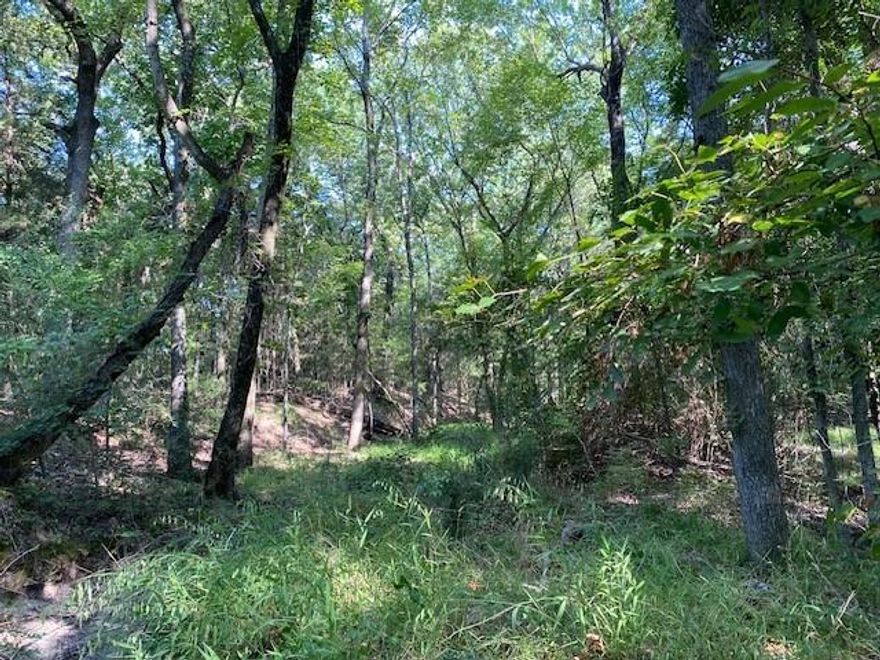 12.4211 ACRES - Heavily wooded with power and community water available. The property is a wildlife haven with choice homesites if desired. Additional acreage is available for purchase. See Broker for details.