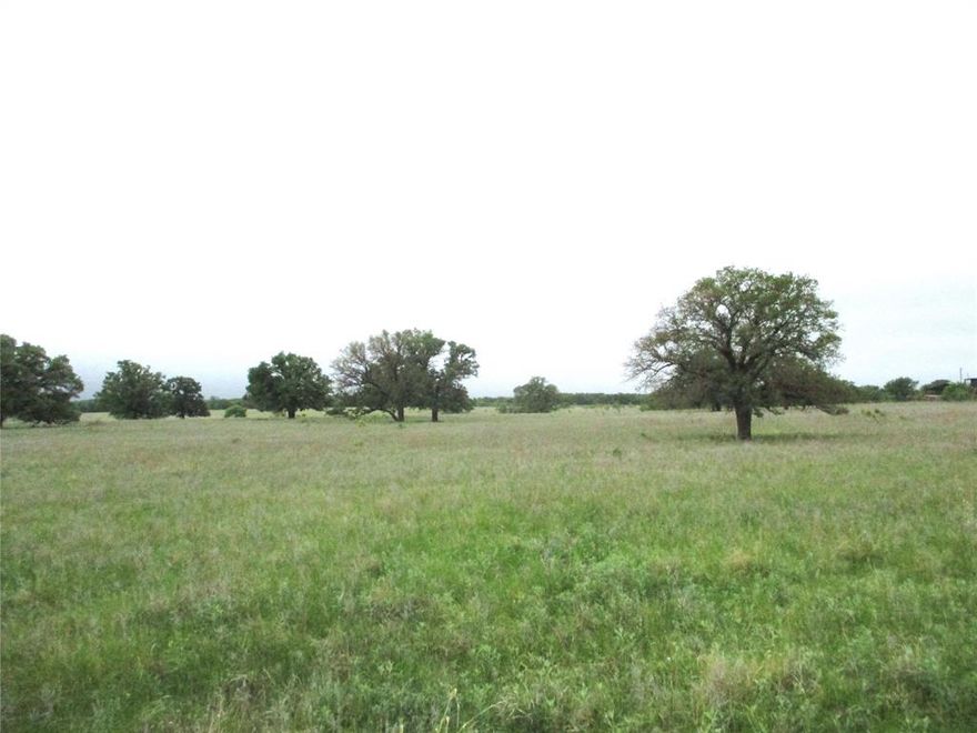 Are you ready for some peace and quiet and stars at night? These beautiful tracts of land in the middle of big ranch country are the perfect place to raise the kids and cows with plenty of elbow room to roam. NO HOA, NO city taxes, just some great views of the Texas countryside with minimal restrictions.Property under ag for low taxes. Open areas with scattered Mature oak trees make for a beautiful setting for that new home Co-op electric up front and water wells in area good. Several tracts to choose from so better hurry! Mature trees with meandering creek that could make a great pond! Possible owner finance!