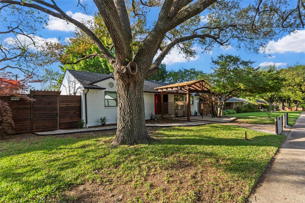 7041 Freemont Street