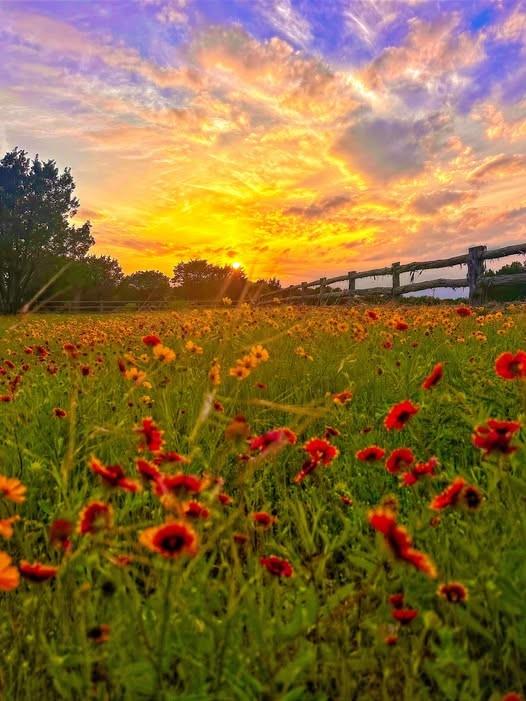Hills Above Possum Kingdom - Land