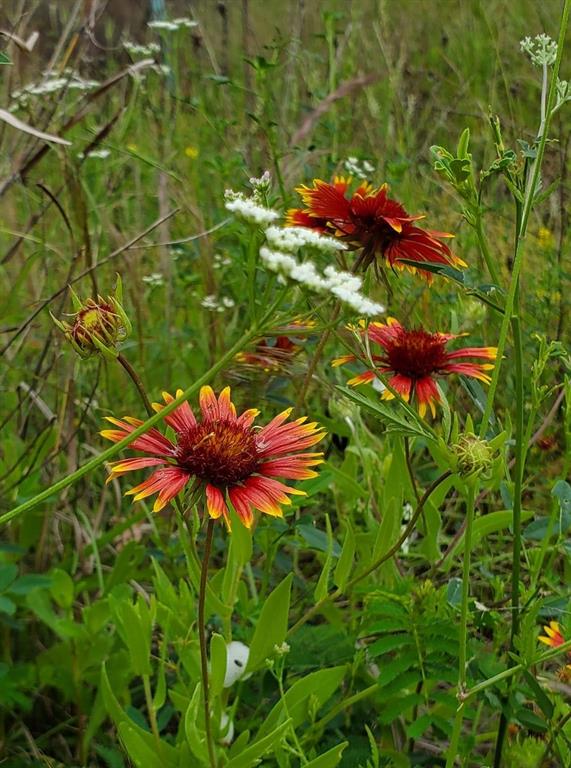 Hills Above Possum Kingdom - Land
