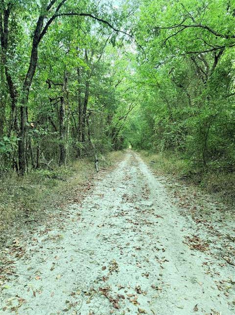 Photo of 6343 County Road 4727, Wolfe City, TX 75496 (MLS # 21362097)