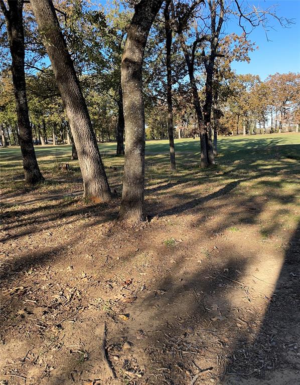 Pinnacle Club - Land