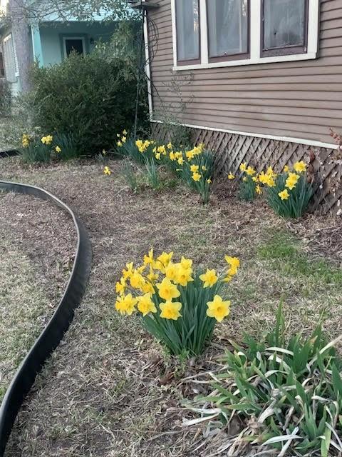 Terrell Rev - Residential