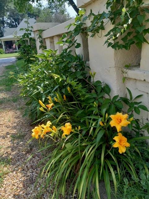 Terrell Rev - Residential