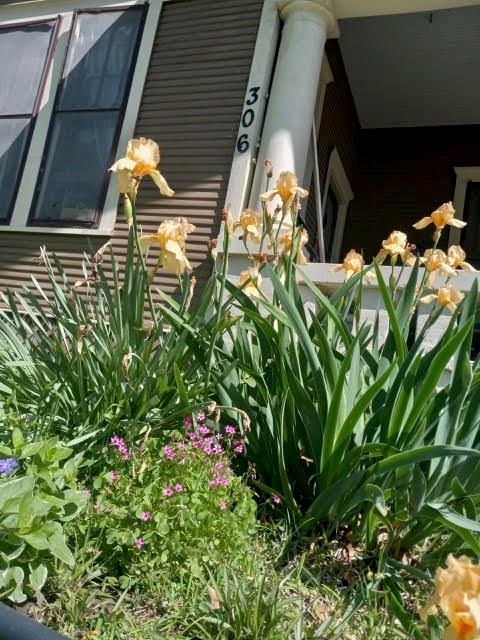 Terrell Rev - Residential