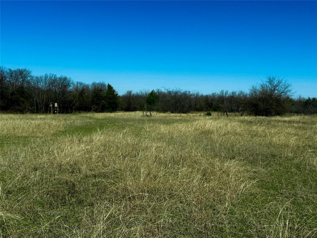 Peter Miller Survey - Land