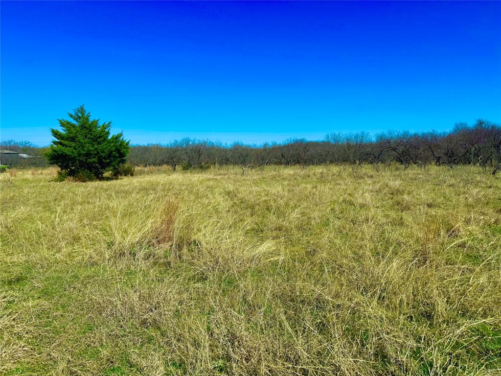 Peter Miller Survey - Land