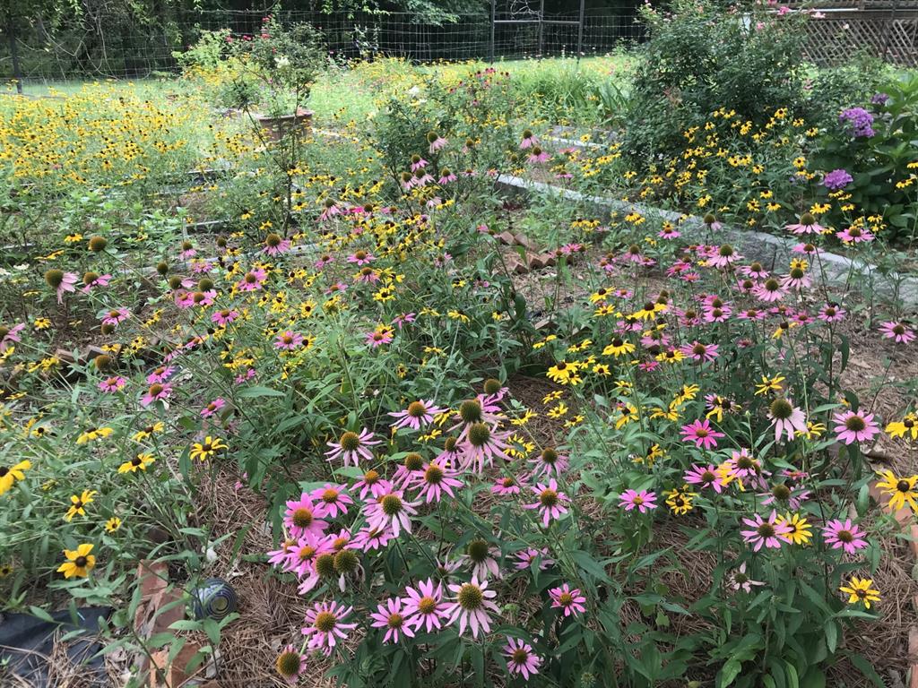 Eli Bowen - Residential